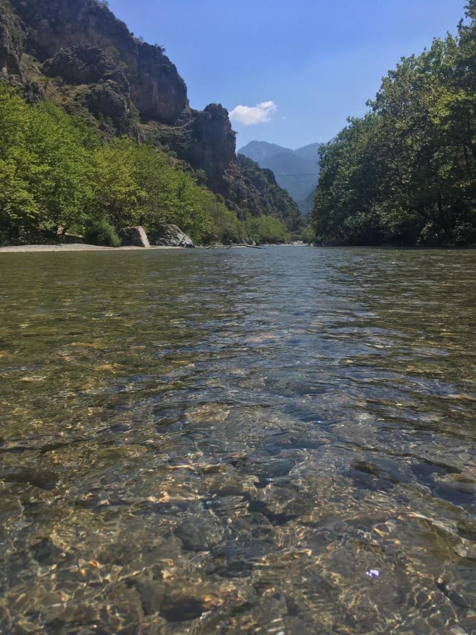 Darwin Primula Διαμέρισμα Κόνιτσα Εξωτερικό φωτογραφία